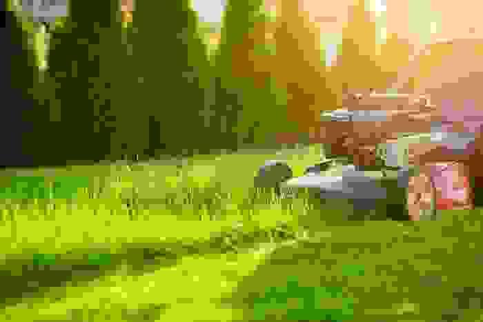 broken image