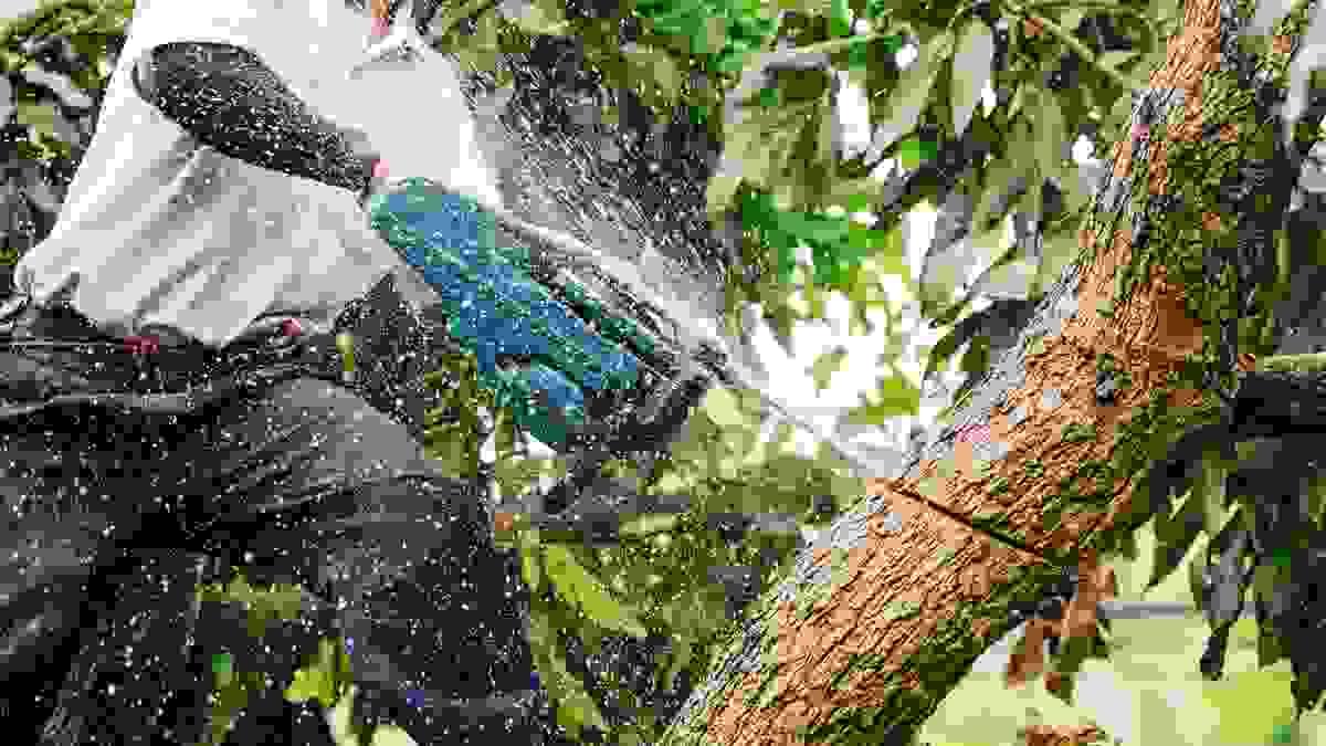broken image