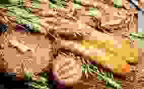 broken image