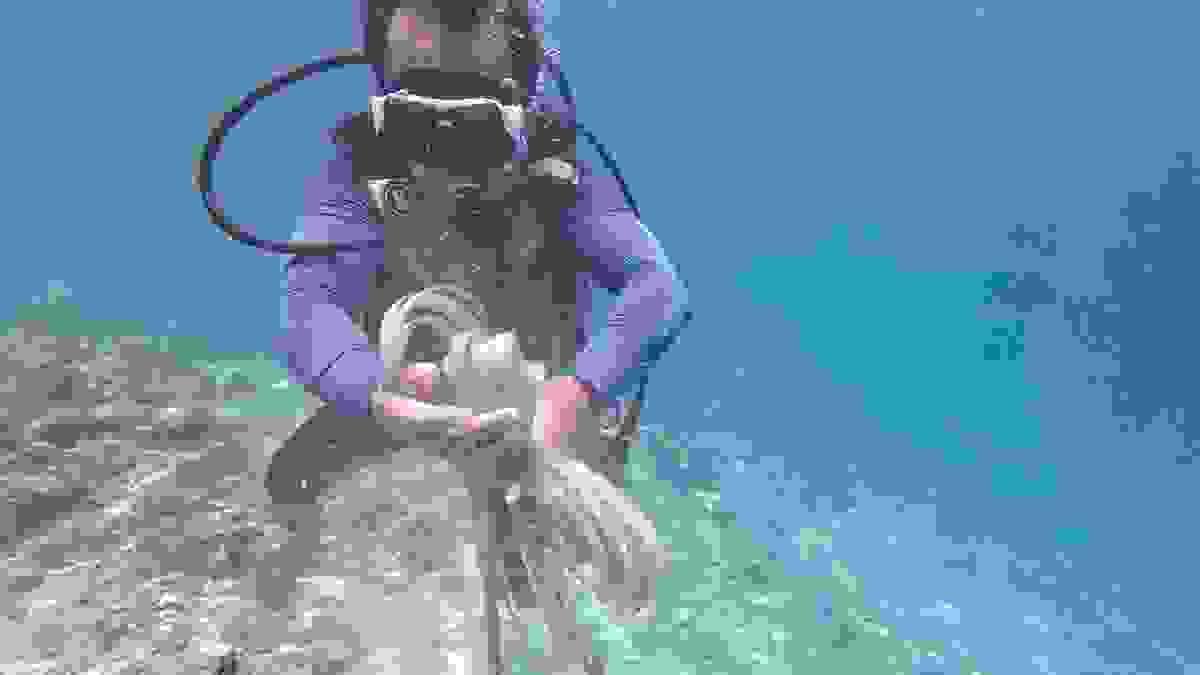 broken image