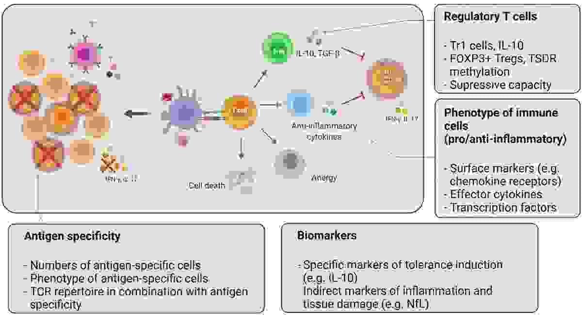 "Sailors" Reborn - Cases of Immune Tolerance Induction ...