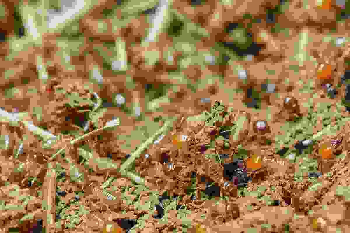 broken image