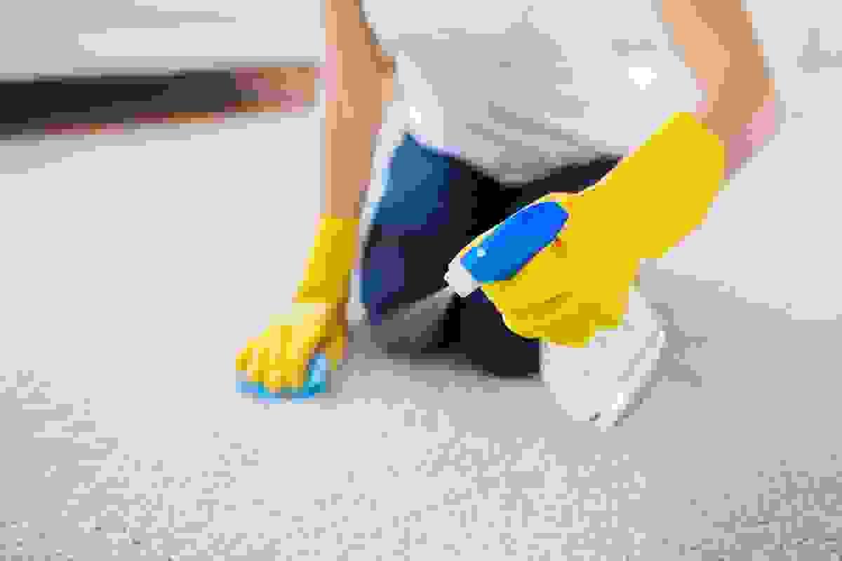 broken image