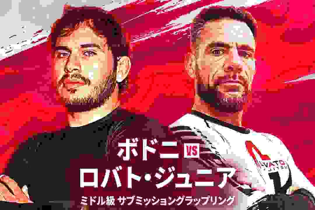 broken image