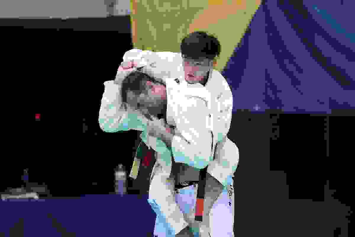 Section image