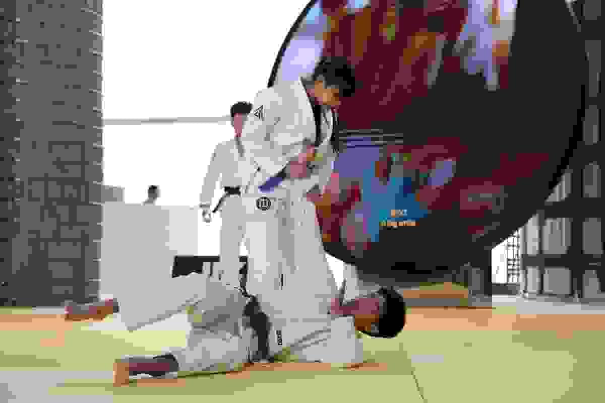 Section image