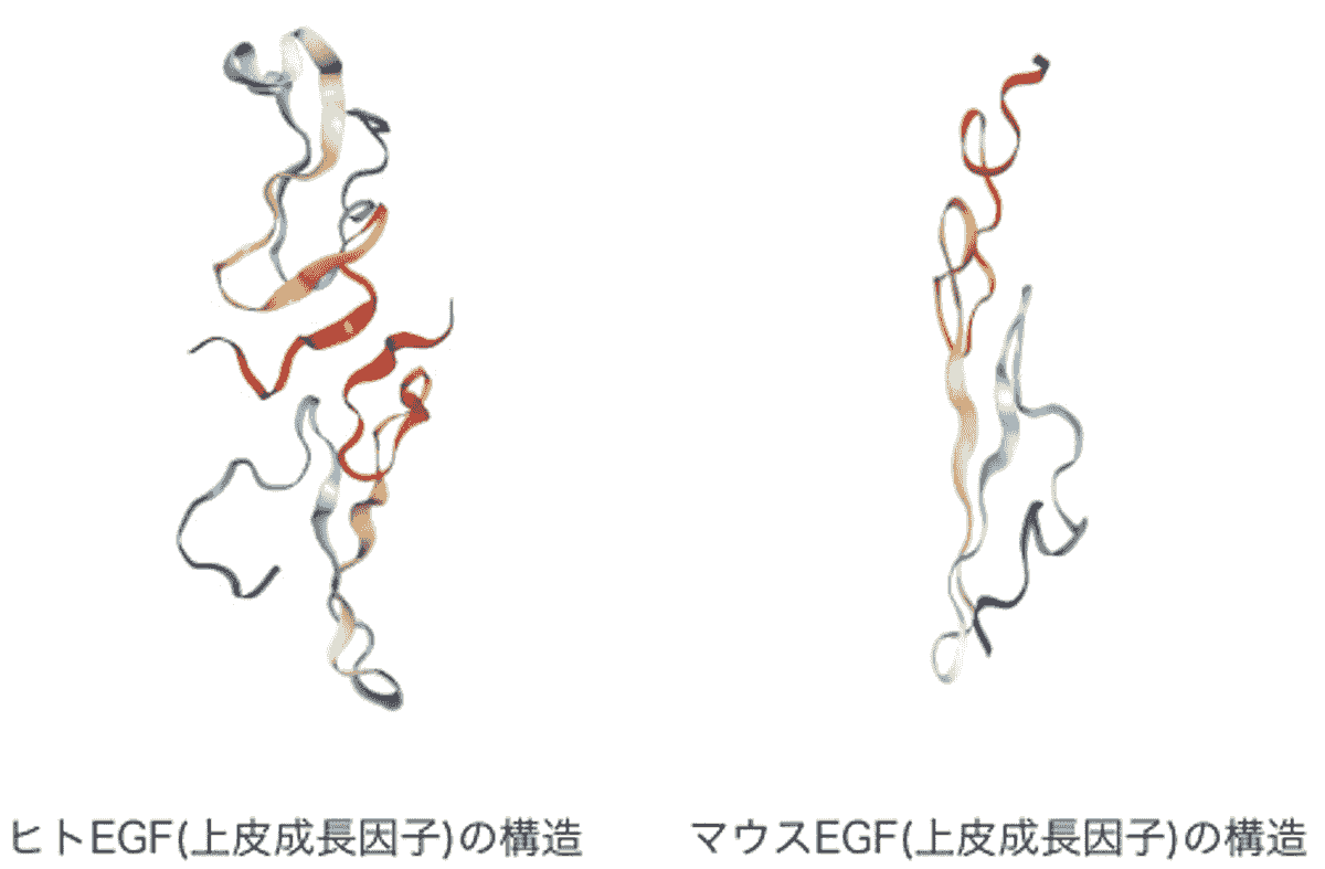 This hospital is a clinic specialized in regenerative medicine, and based on the latest technology and research results, we provide the most suitable treatment for each individual patient. regenerative medicine specialization Our company's characteristics Tokyo in is regeneration medical specialty complete reservation system clinic