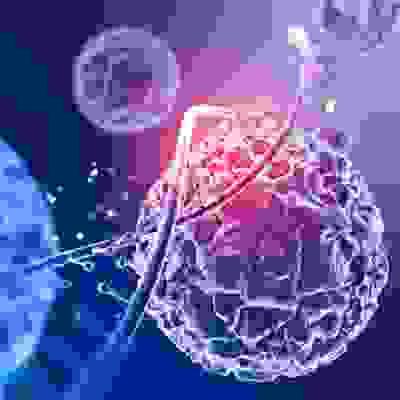 This hospital is a clinic specialized in regenerative medicine, and based on the latest technology and research results, we provide the most suitable treatment for each individual patient. regenerative medicine specialization Our company's characteristics Tokyo in is regeneration medical specialty complete reservation system clinic
