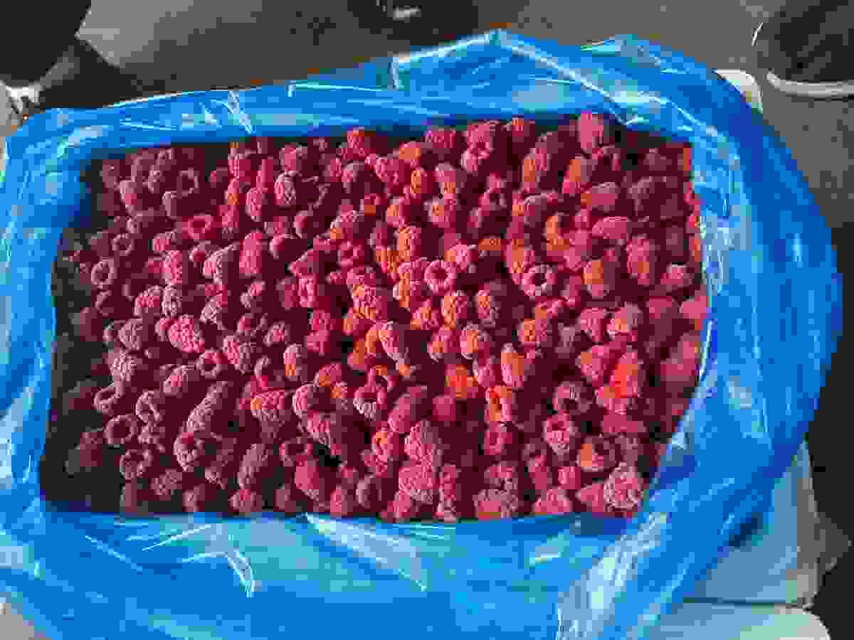 IQF Whole Raspberries Bulk Supply - Product Updates