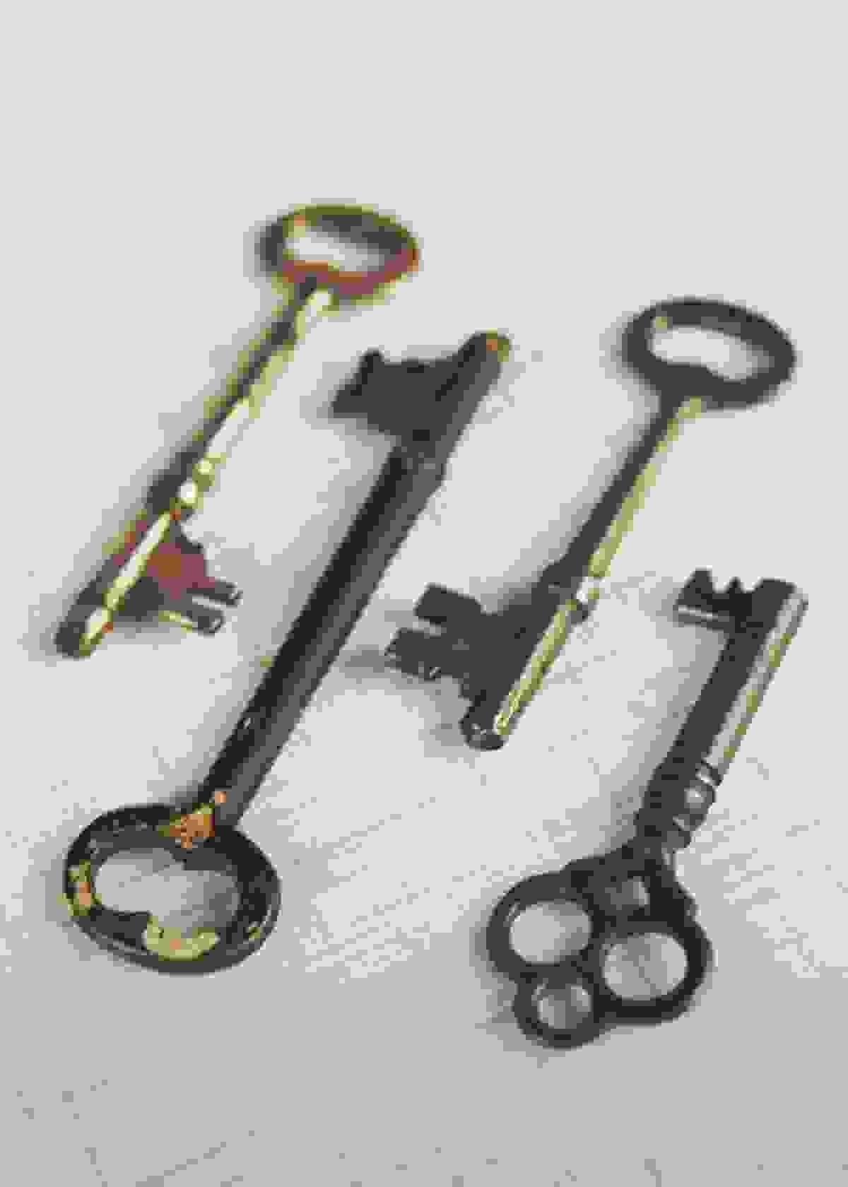Section image