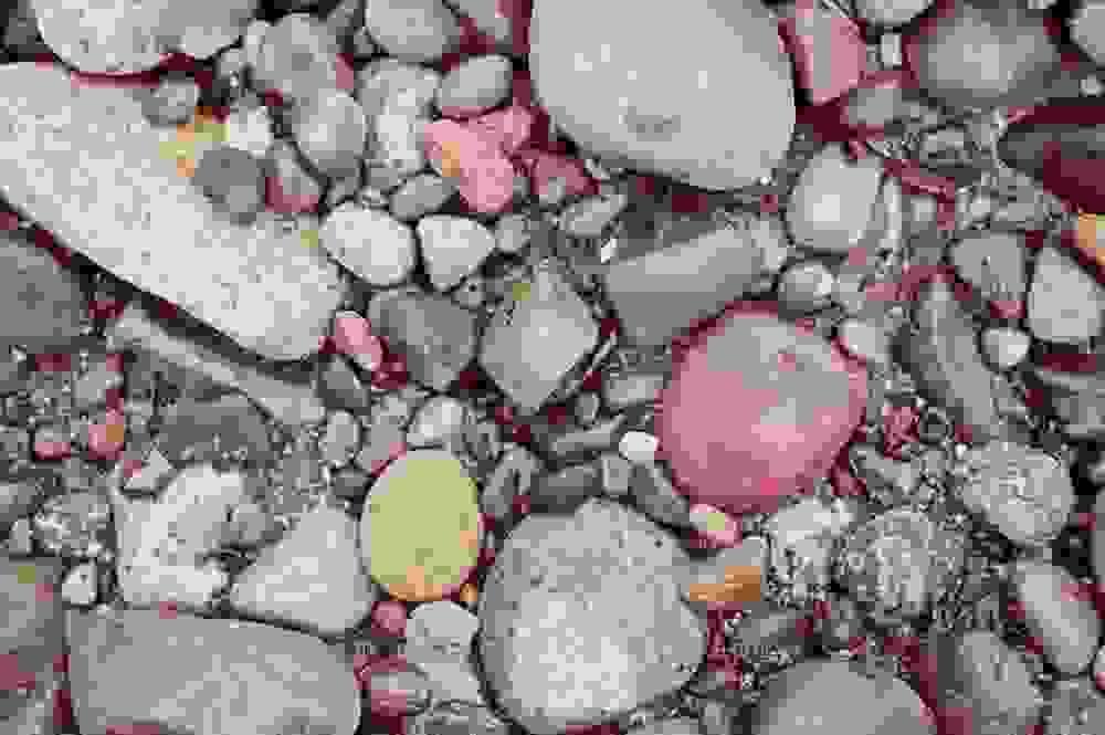 Section image
