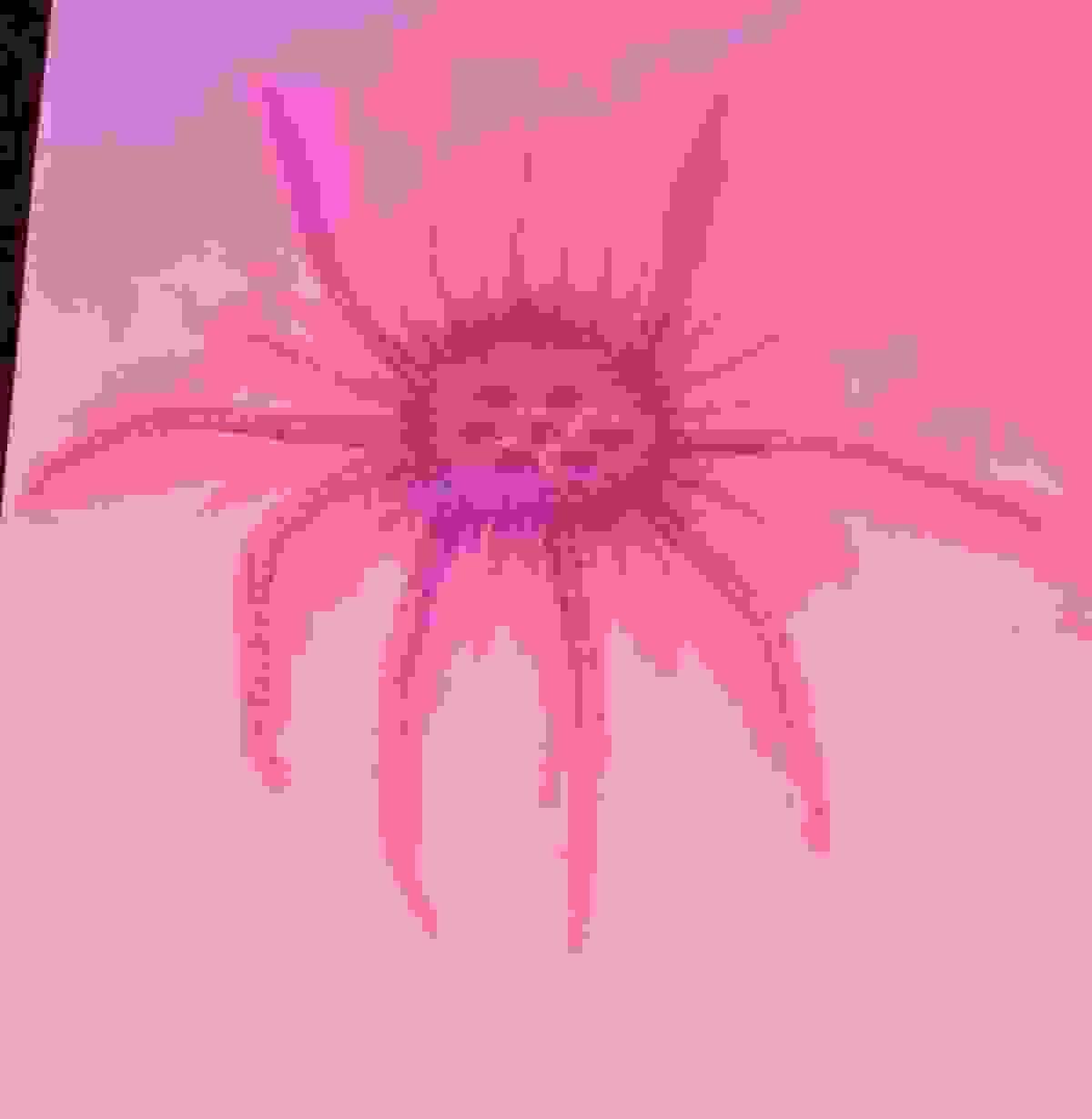 broken image
