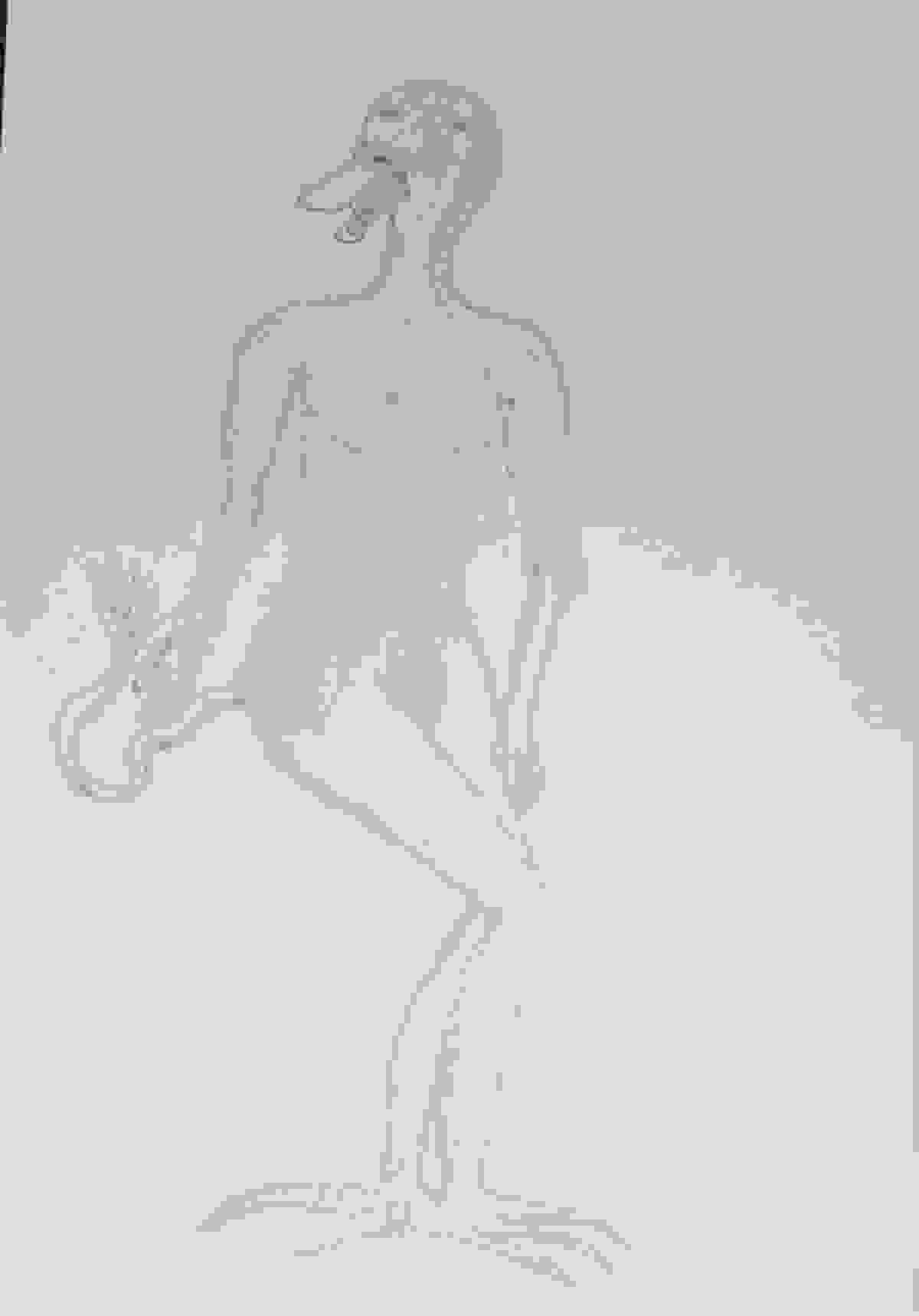 broken image