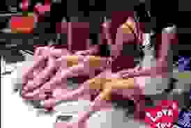 broken image