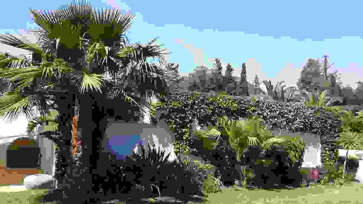 Section image