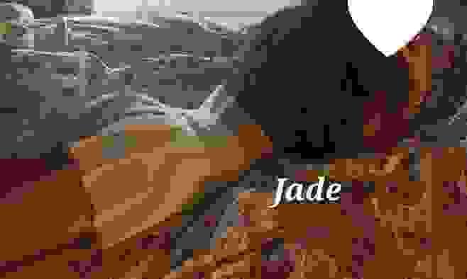 broken image