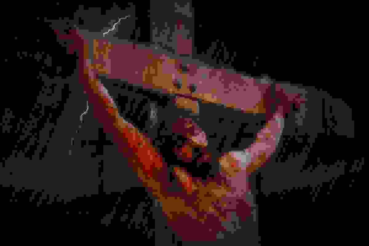Worm Dies Not