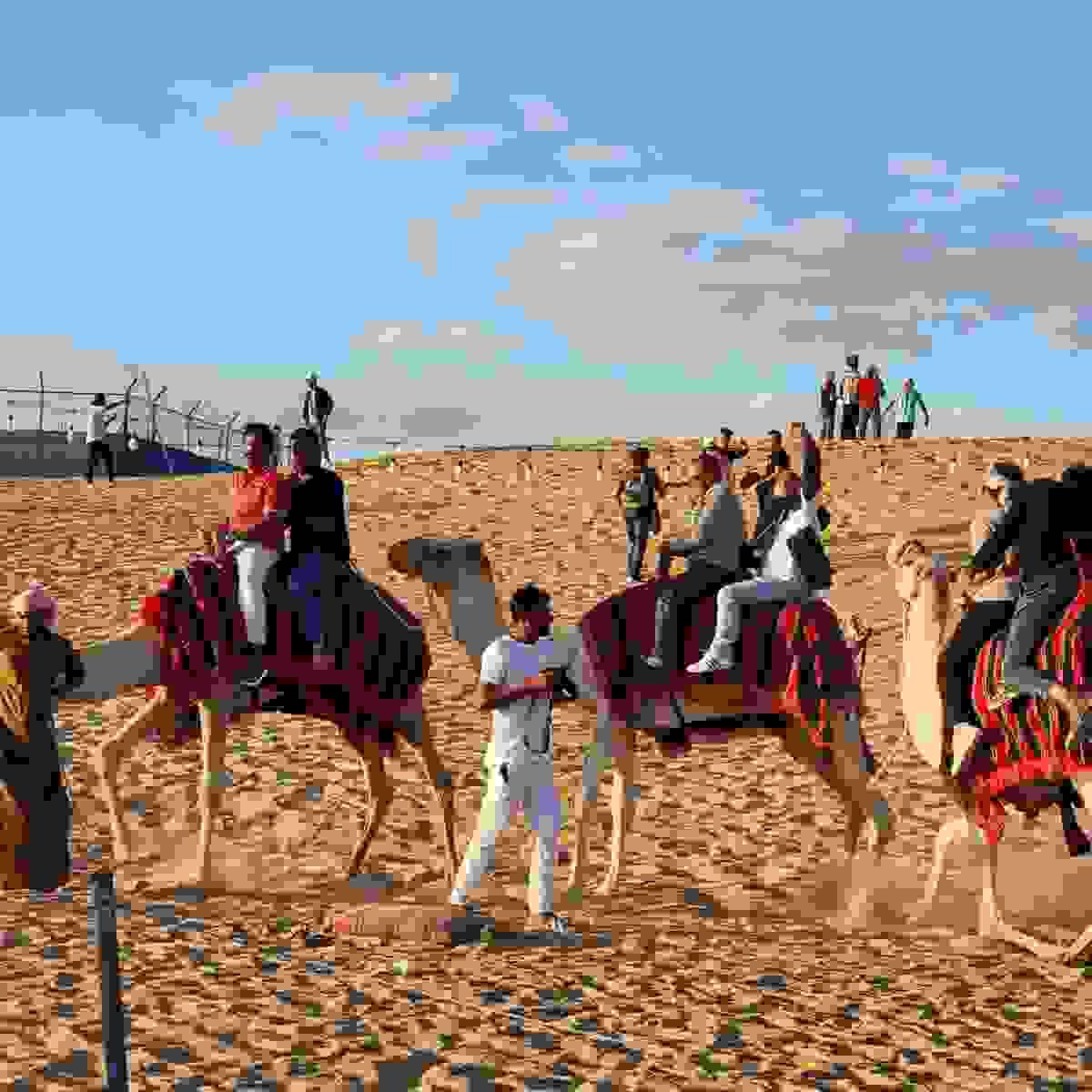 Desert Safari