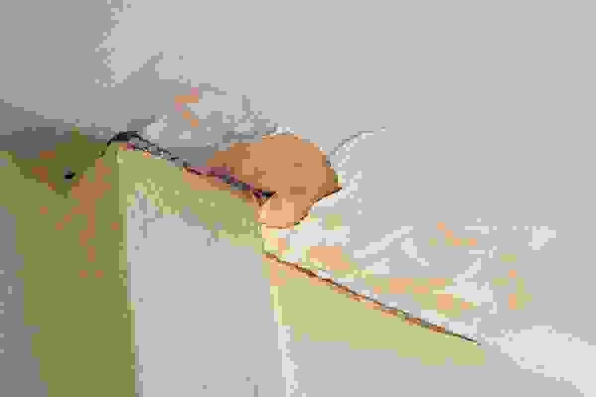 broken image