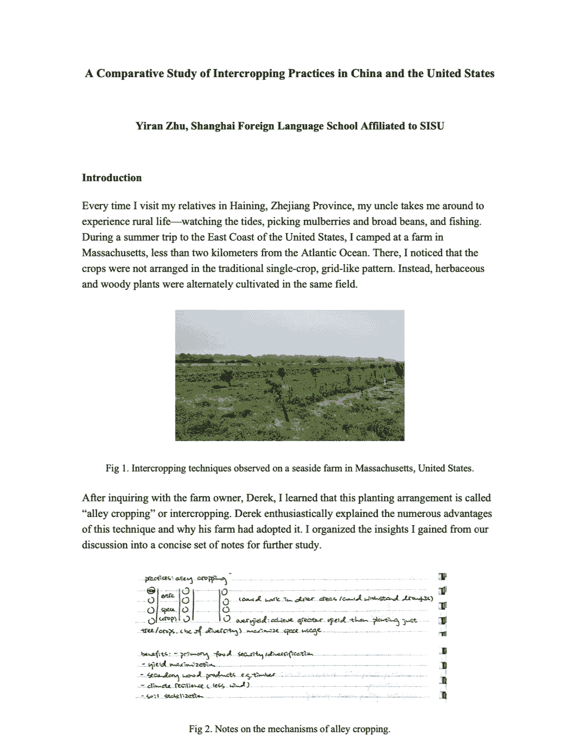 Explore my work and insights into the industry. Welcome to Yiran Zhu's Portfolio Yiran Zhu's personal website