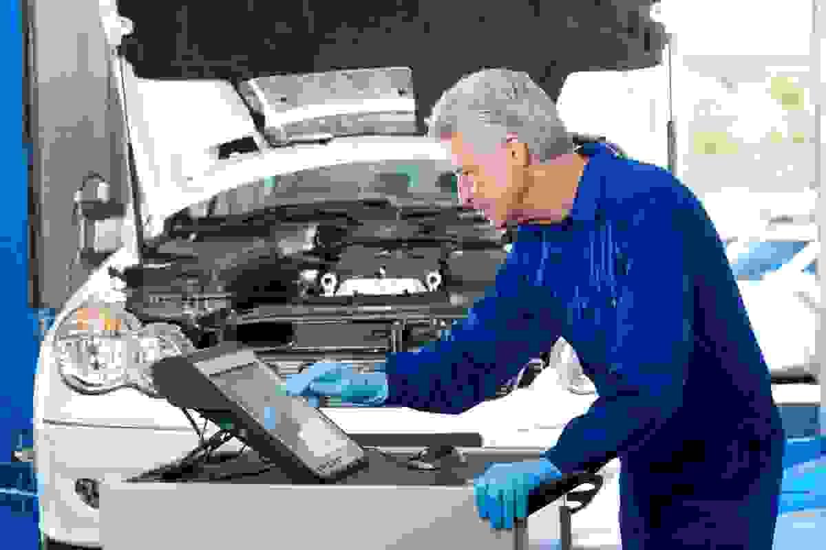 broken image