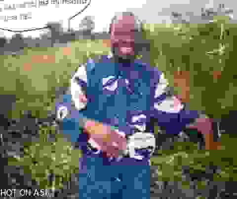 Enjoy an intuitive and easy to navigate interface for an optimal user experience. Friendly Interface Our Mission It is a site allowing users to access the different games created by the latter. Enjoy an intuitive and easy to navigate interface for an optimal user experience. Friendly Interface Our Mission It is a site allowing users to access the different games created by the latter.