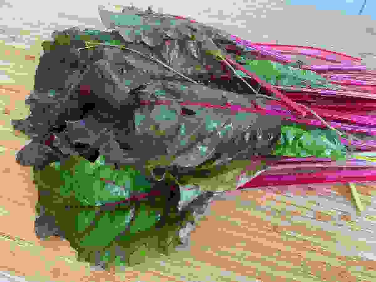 broken image