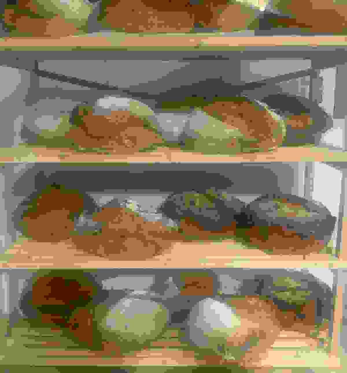 broken image