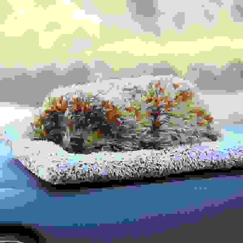 Section image