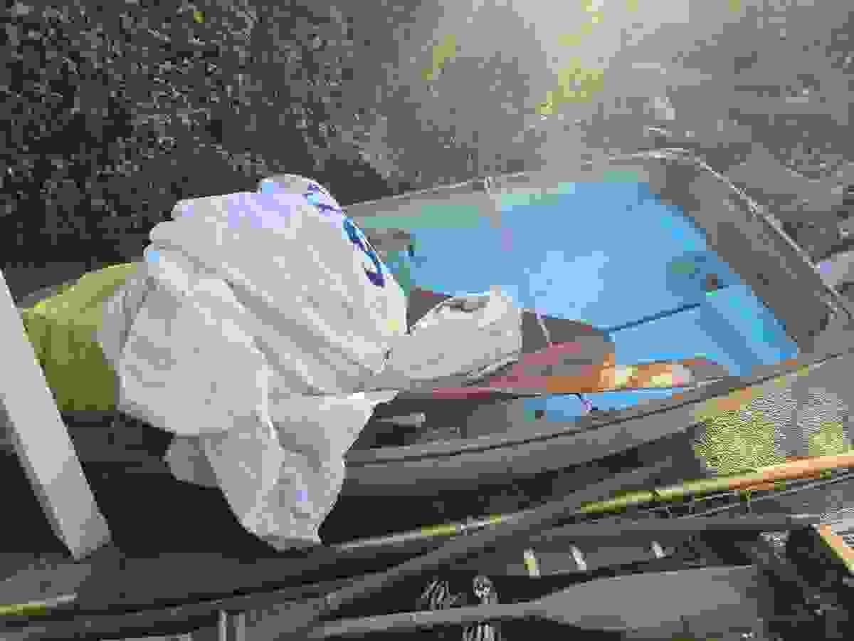 Section image