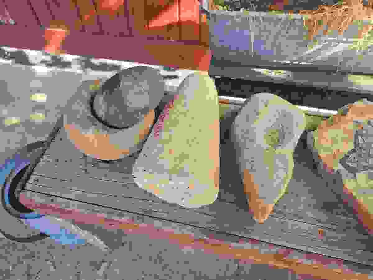 Section image