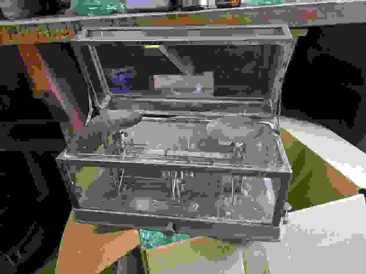 Section image