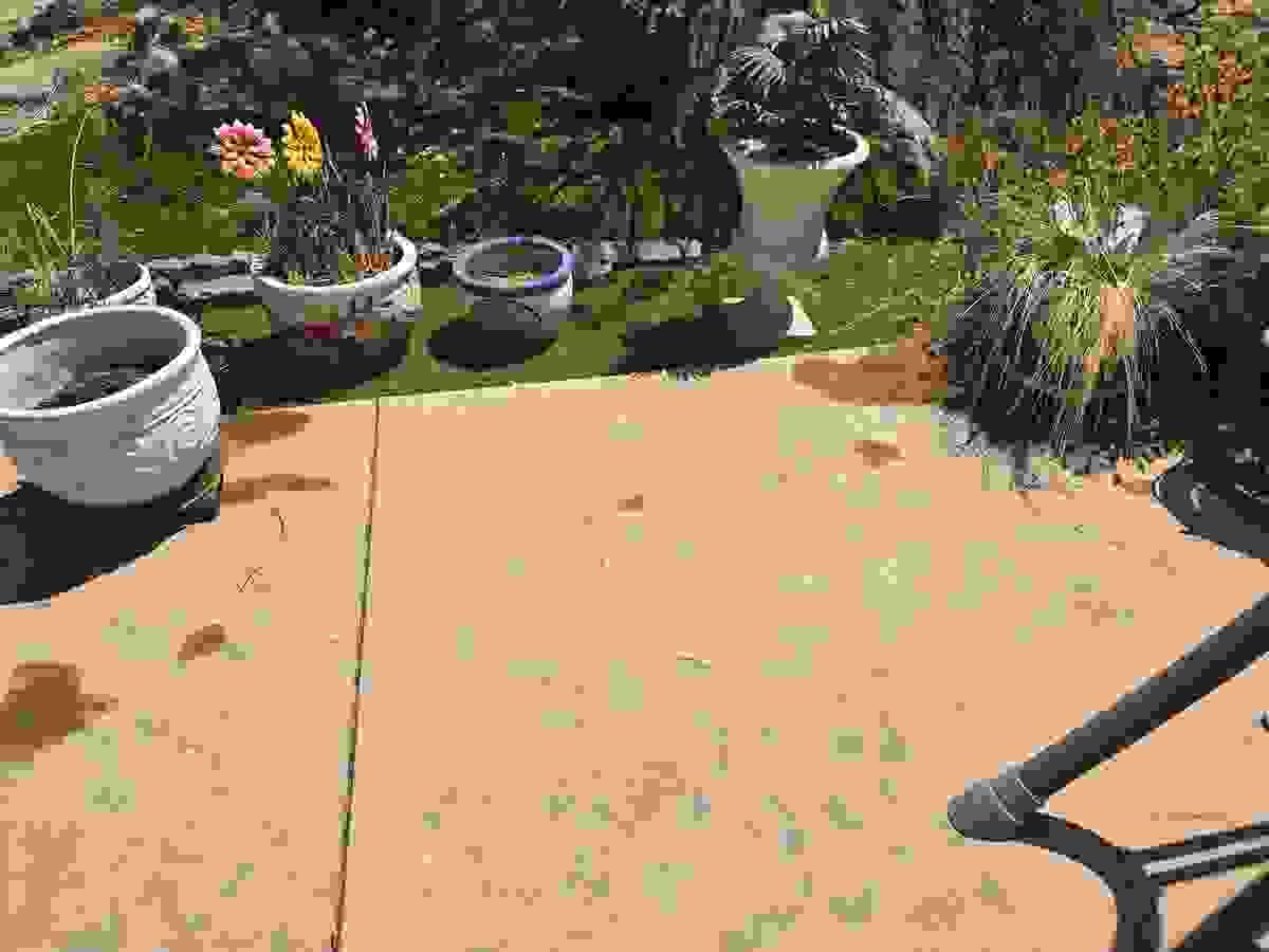 Section image