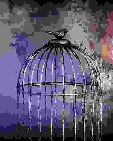 broken image