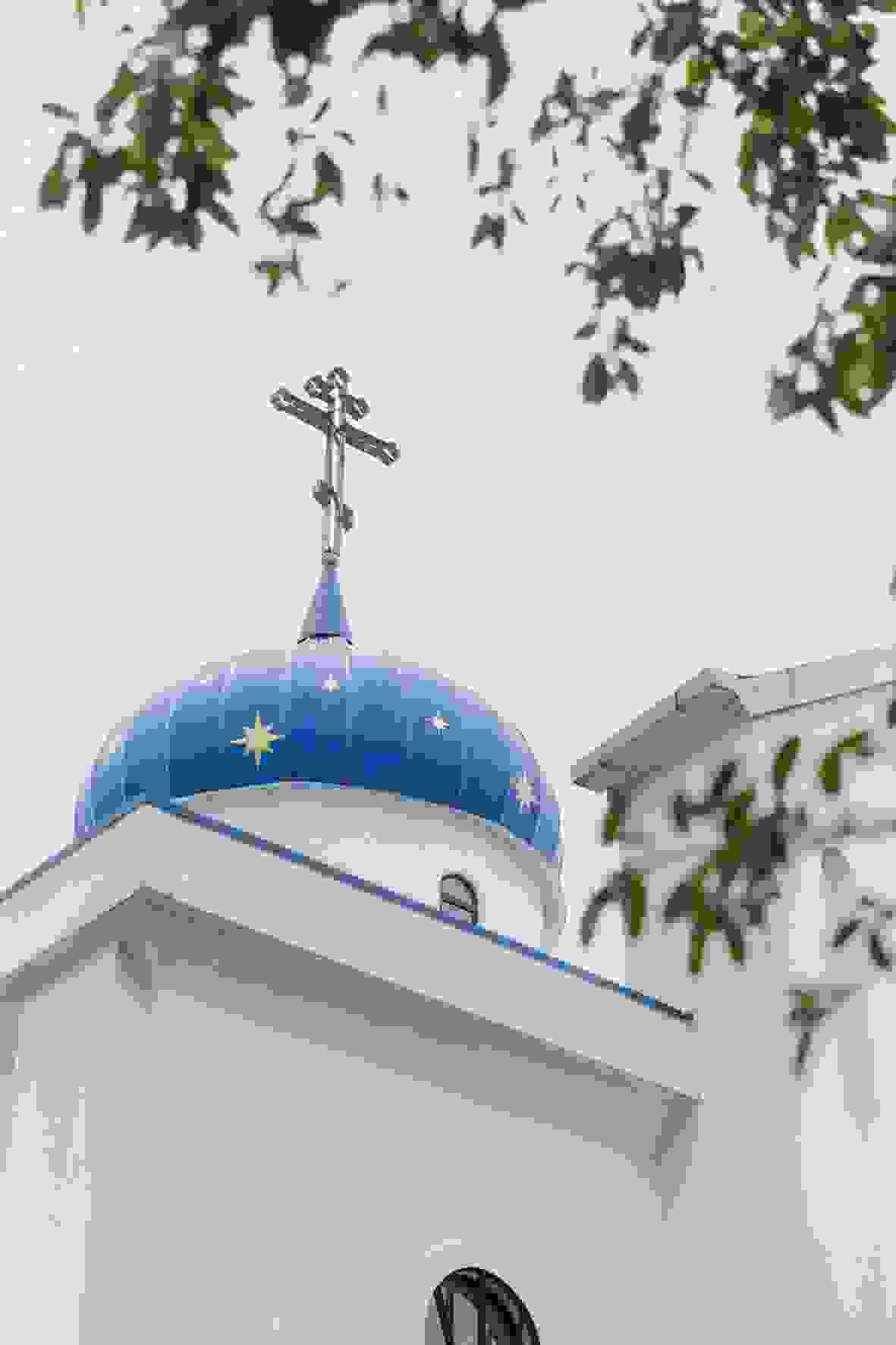 Section image
