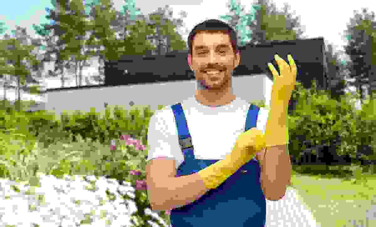 broken image