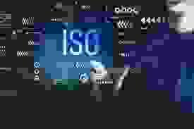 Section image