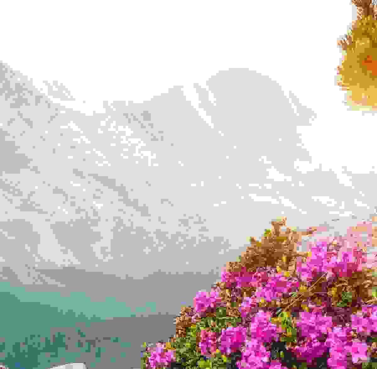 broken image