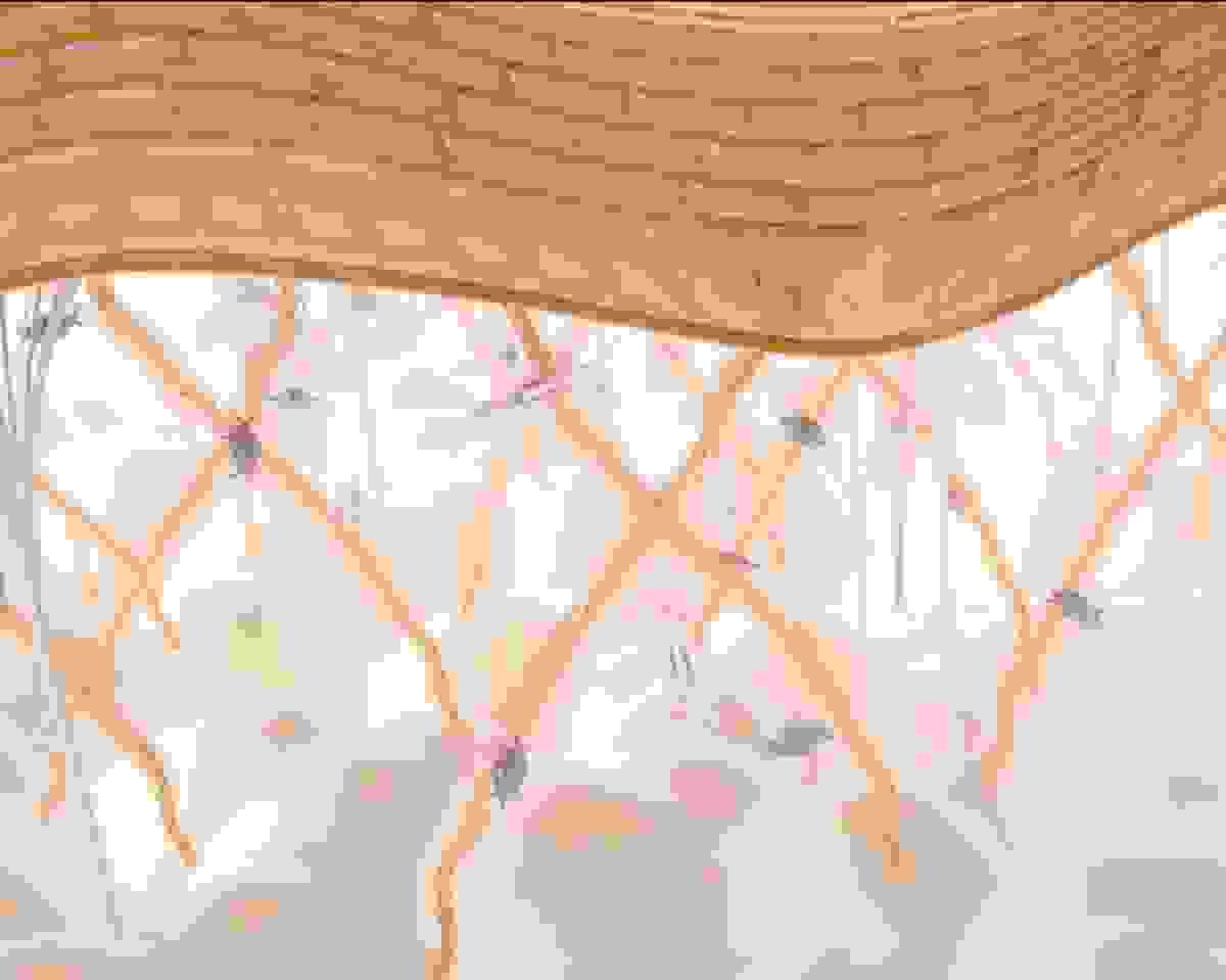 broken image