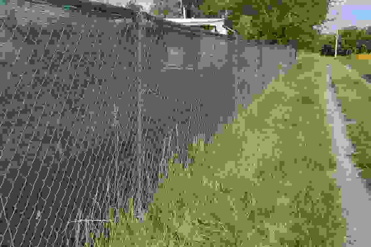 broken image