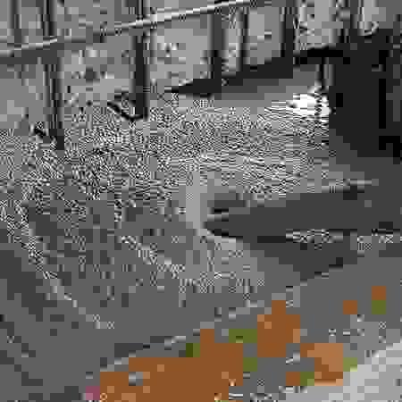 broken image