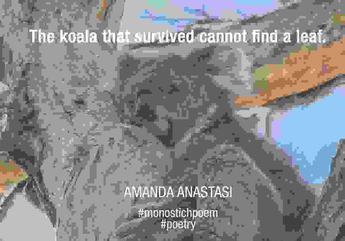 broken image
