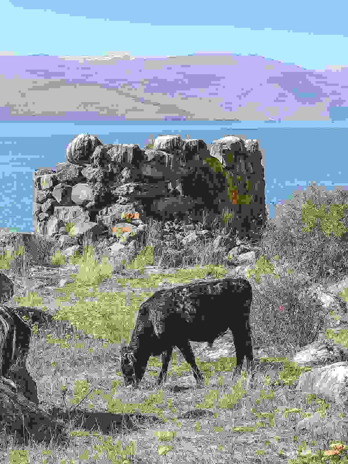 Section image