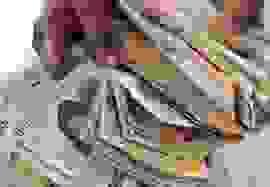 broken image
