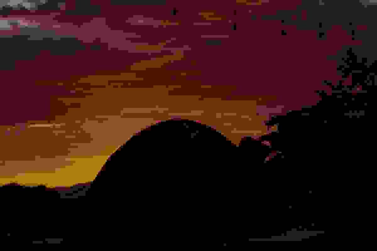broken image