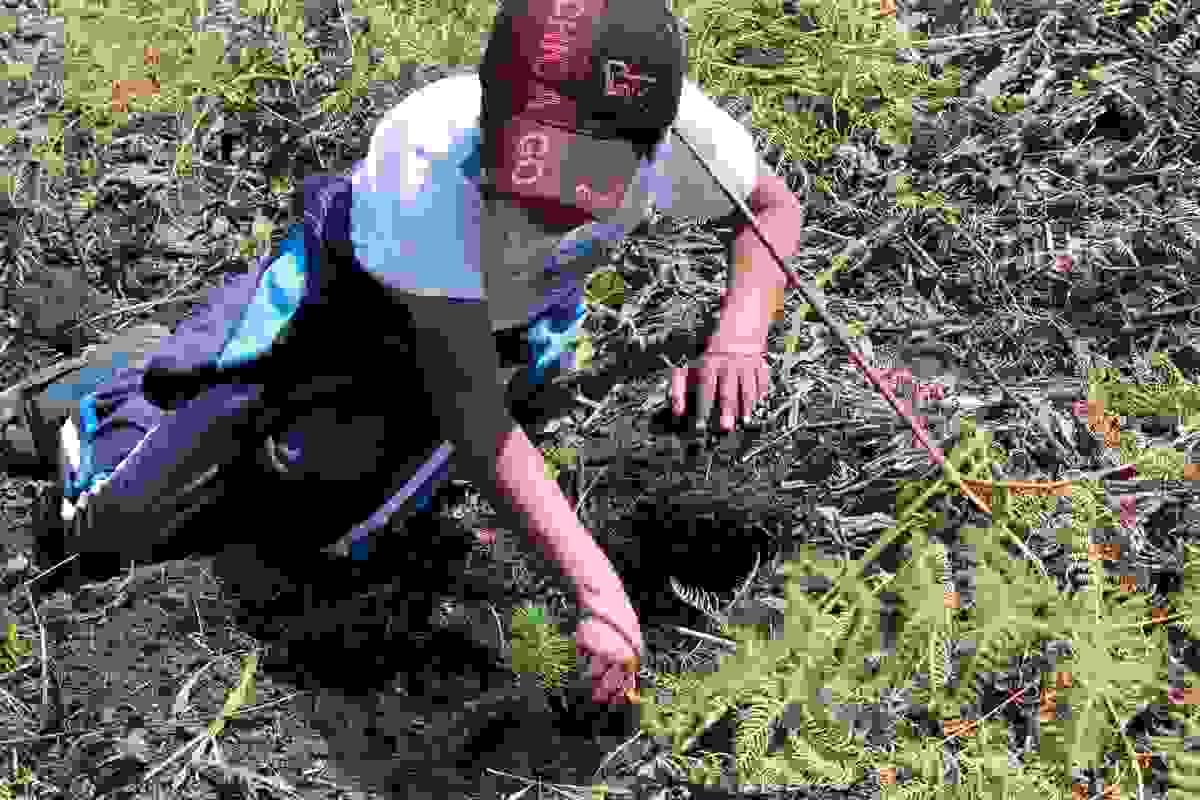 broken image