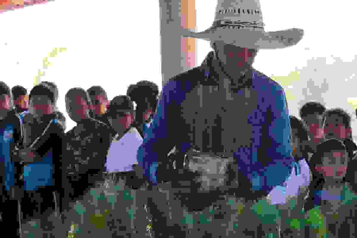 broken image
