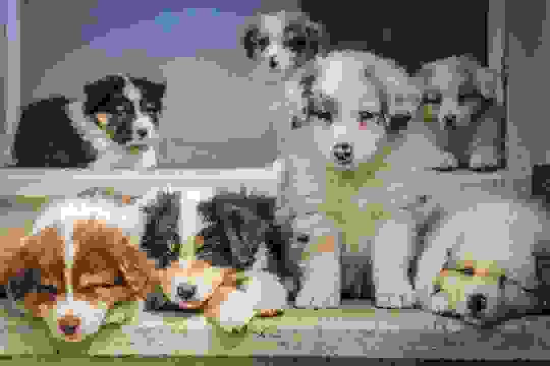 broken image