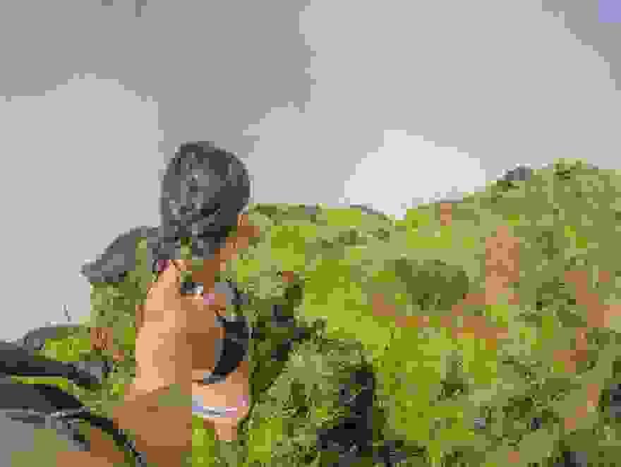 broken image