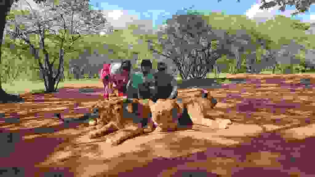 Section image